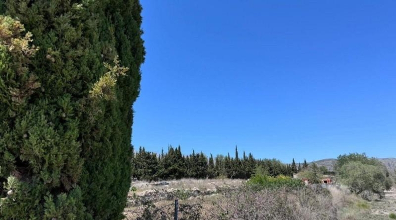 Alicante - Benisa - 5005m2