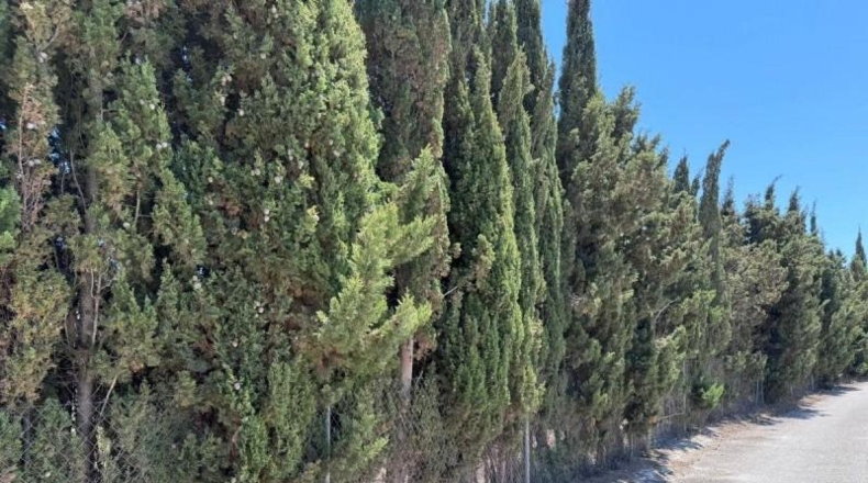 Alicante - Benisa - 5005m2