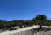 Non-developable land for sale on España, Benissa, ref: TR131272 photo