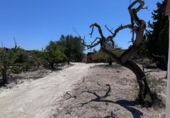 Non-developable land for sale on España, Benissa, ref: TR131272 photo