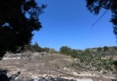 Non-developable land for sale on España, Benissa, ref: TR131272 photo