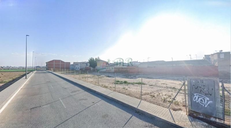 Alicante - Catral - 500m2