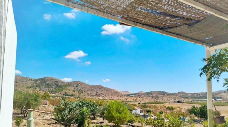 Alicante - Hondón de las Nieves - 10000m2