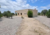 Finca rústica en venta en la España, Elche, ref: TR412631 foto