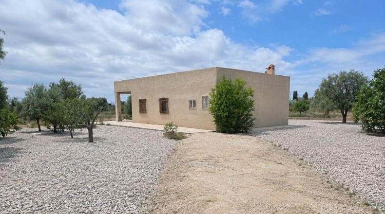 Alicante - Эльче - 2000m2