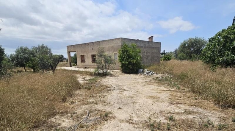 Alicante - Эльче - 2000m2