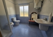 Finca rústica en venta en la España, Elche, ref: TR412631 foto