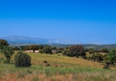 Terreno no urbanizable en venta en la España, Navalperal de Pinares, ref: TR412607 foto