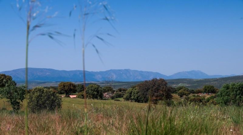 Авила - Navalperal de Pinares - 27000m2