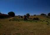 Terreno no urbanizable en venta en la España, Navalperal de Pinares, ref: TR412607 foto