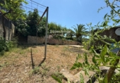 Отдельно стоящий дом с участком на продажу в городе la Bisbal del Penedès Фото