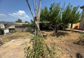Отдельно стоящий дом с участком на продажу в городе la Bisbal del Penedès Фото