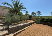 Отдельно стоящий дом с участком на продажу в городе la Bisbal del Penedès Фото