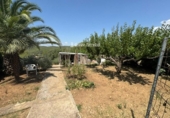 Отдельно стоящий дом с участком на продажу в городе la Bisbal del Penedès Фото