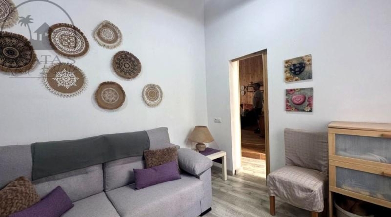 Санта-Крус-де-Тенерифе - Icod de los Vinos - 377m2