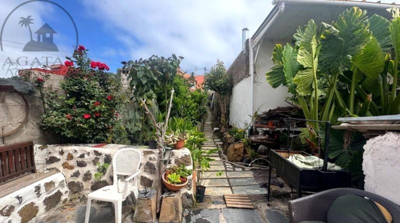 Санта-Крус-де-Тенерифе - Icod de los Vinos - 377m2