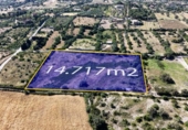 Terreno no urbanizable en venta en la España, Son Servera, ref: TR412612 foto
