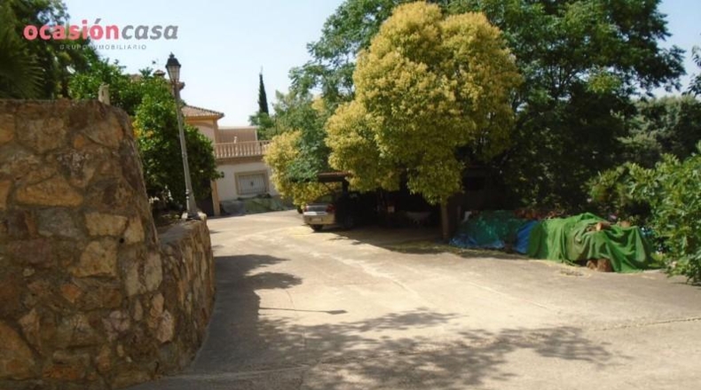 Córdoba - Córdoba - 4600m2