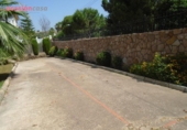 Casa de campo con terreno en venta en la España, Córdoba, ref: TR134774 foto