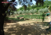 Casa de campo con terreno en venta en la España, Córdoba, ref: TR134774 foto