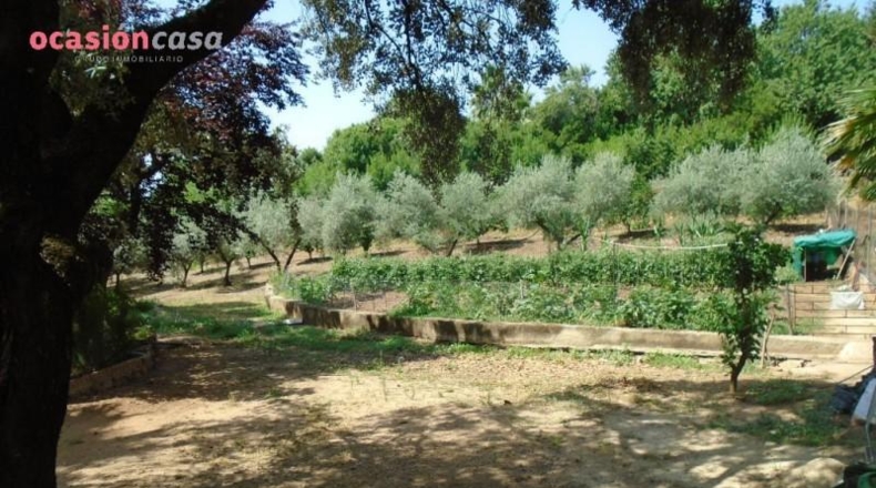 Córdoba - Córdoba - 4600m2