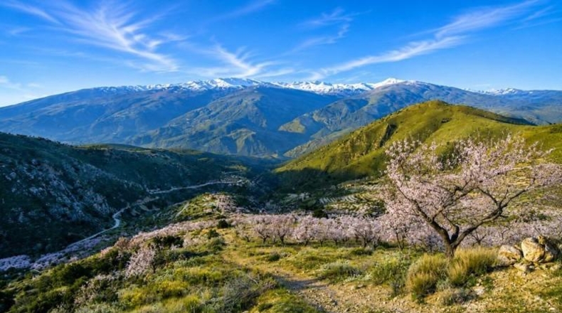 Гранада - Órgiva - 2430000m2