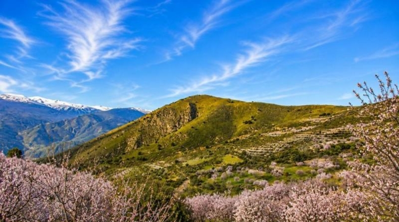 Гранада - Órgiva - 2430000m2