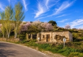 Terreno no urbanizable en venta en la España, Órgiva, ref: TR412674 foto