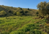 Terreno no urbanizable en venta en la España, Órgiva, ref: TR412674 foto