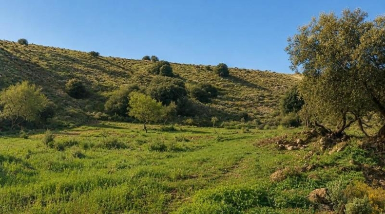 Гранада - Órgiva - 2430000m2