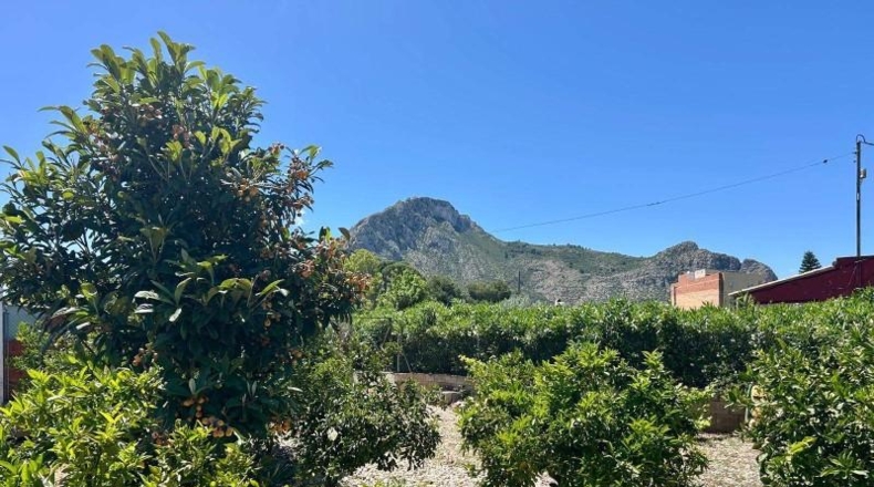 Alicante - El Verger - 1463m2
