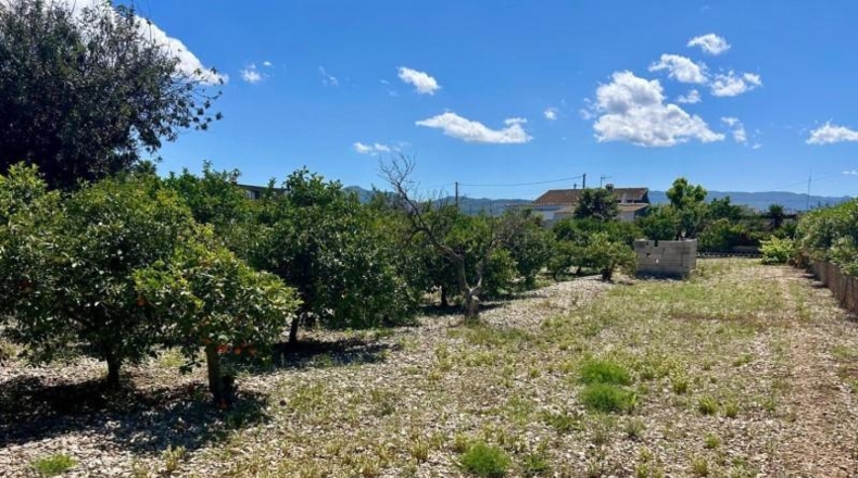 Alicante - El Verger - 1463m2