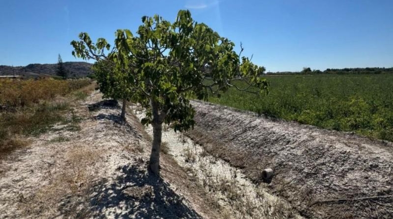 Alicante - Granja de Rocamora - 400000m2
