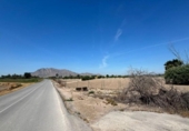 Chalet independiente con terreno en venta en la España, Granja de Rocamora, ref: TR412645 foto