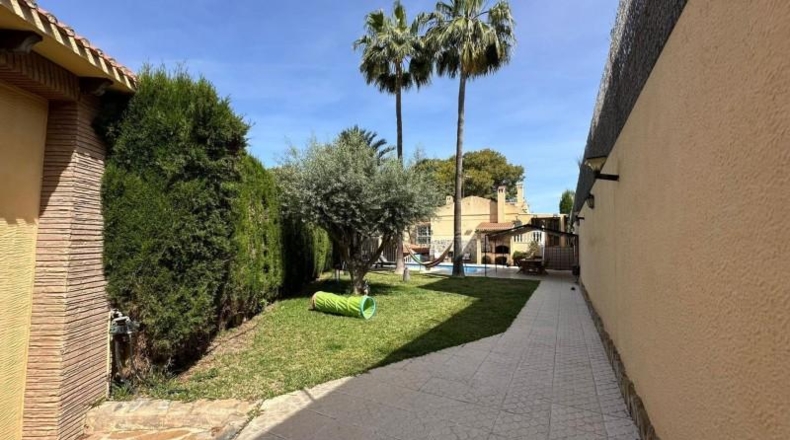Alicante - Торревьеха - 827m2
