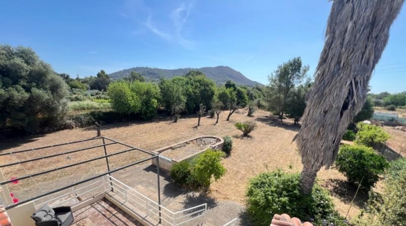 Балеарские острова - Inca - 1239m2