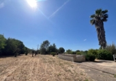 Chalet independiente con terreno en venta en la España, Inca, ref: TR412665 foto