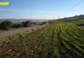 Terreny no urbanitzable en venda a la España, Alcolea, ref.: TR115503 foto