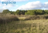 Chalet independiente con terreno en venta en la España, Areces, ref: TR317266 foto