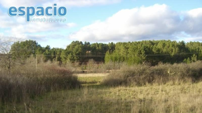 Las Palmas - Pájara - 6800m2