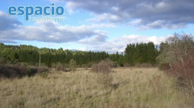 Las Palmas - Pájara - 6800m2