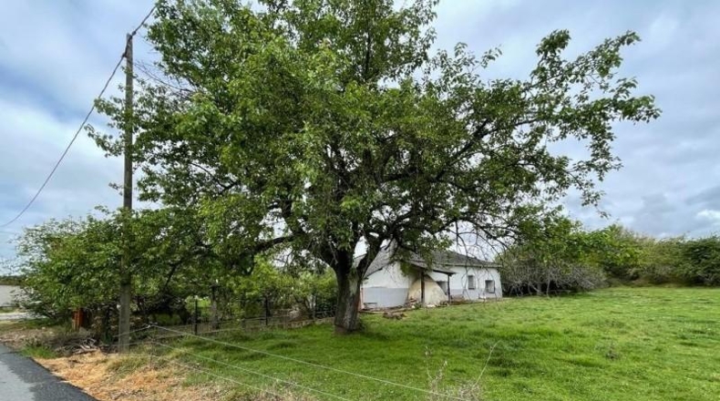 Leon - Cabañas Raras - 3100m2