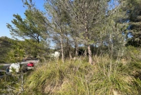 Foto 11