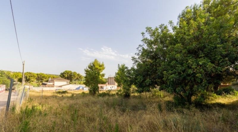 València - Torrente - 1858m2