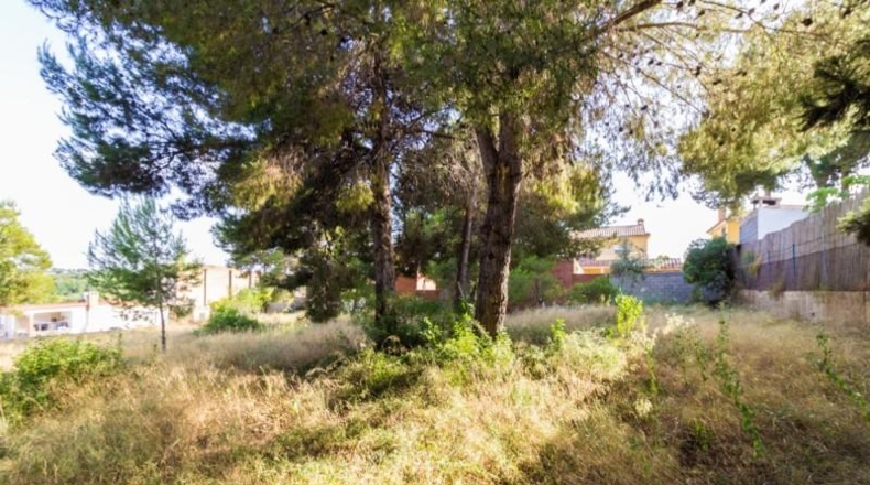 València - Torrente - 1858m2