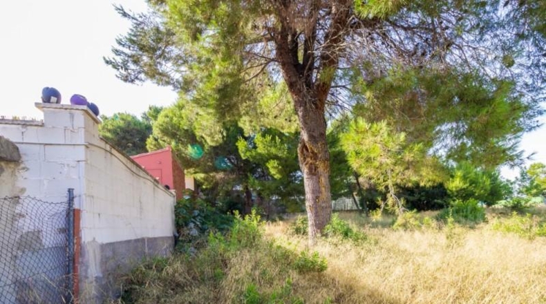 València - Torrente - 1858m2