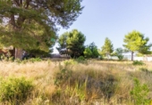 Urban land for sale on España, Torrent, ref: TR118125 photo