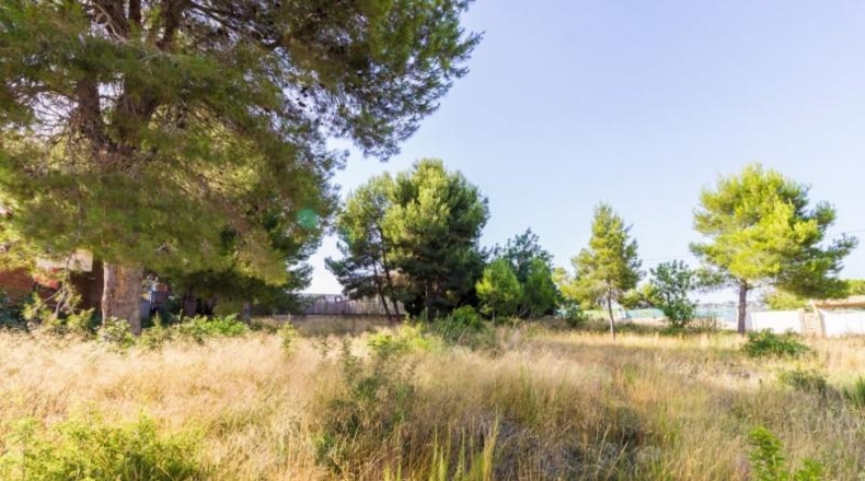 València - Torrente - 1858m2