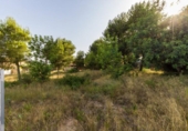 Urban land for sale on España, Torrent, ref: TR118125 photo