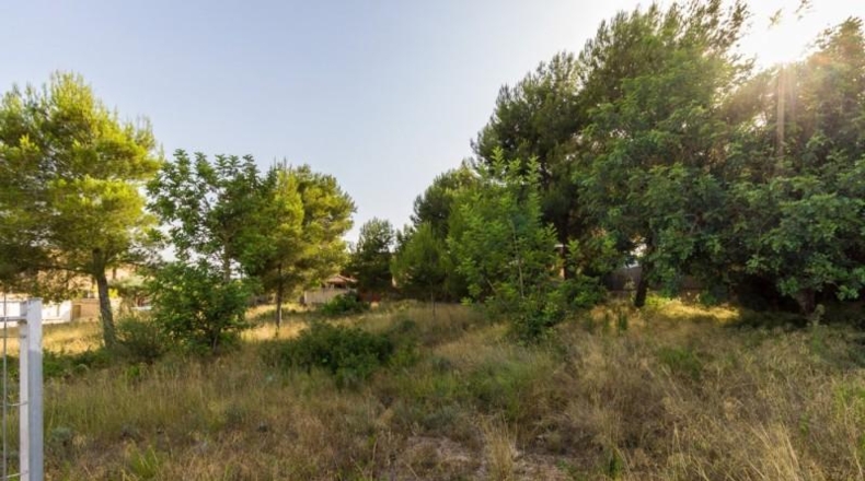 València - Torrente - 1858m2